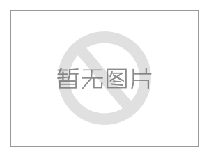 膠體磨的技術(shù)特點(diǎn)